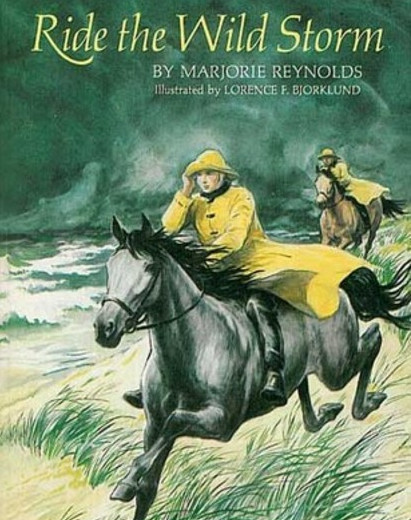 ride the wild storm book cover